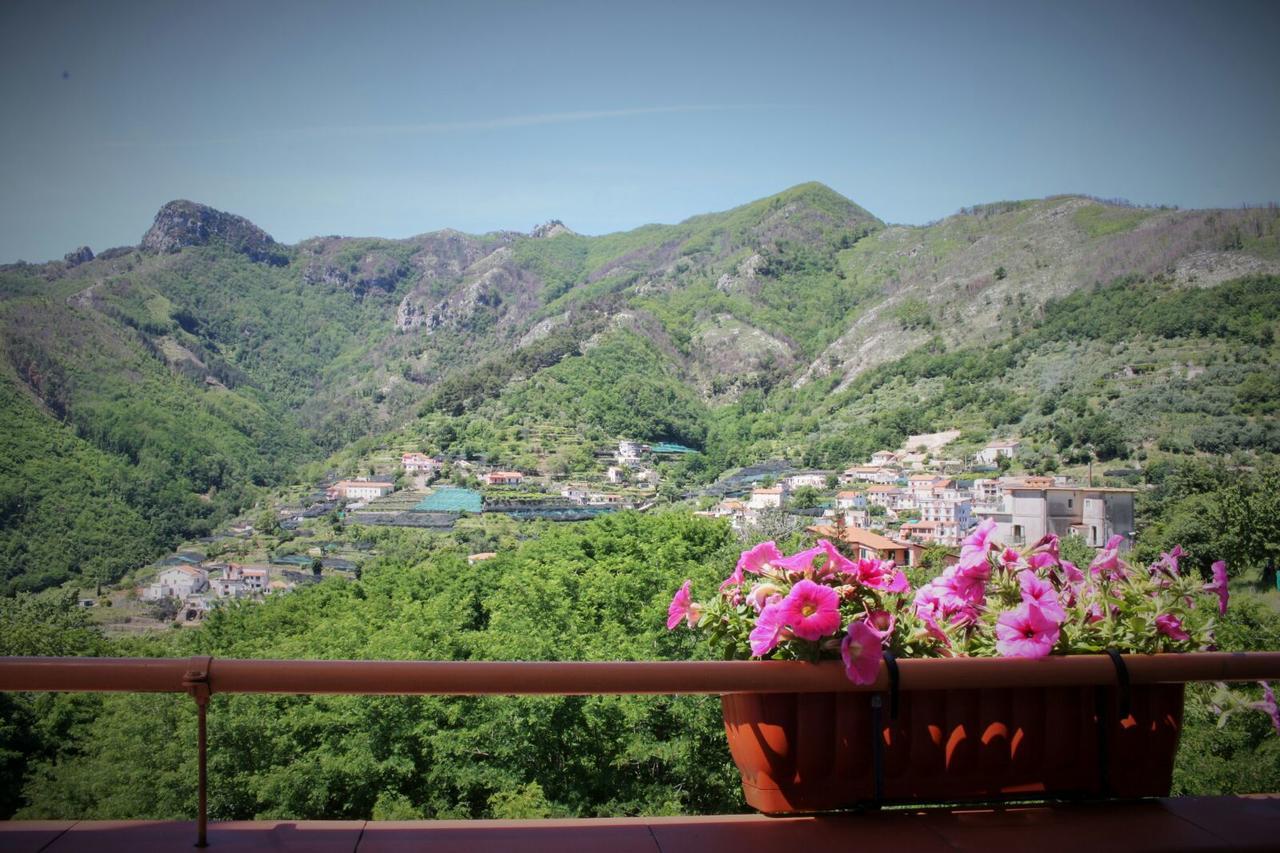 Bed and Breakfast Tra I Monti Tramonti Zewnętrze zdjęcie