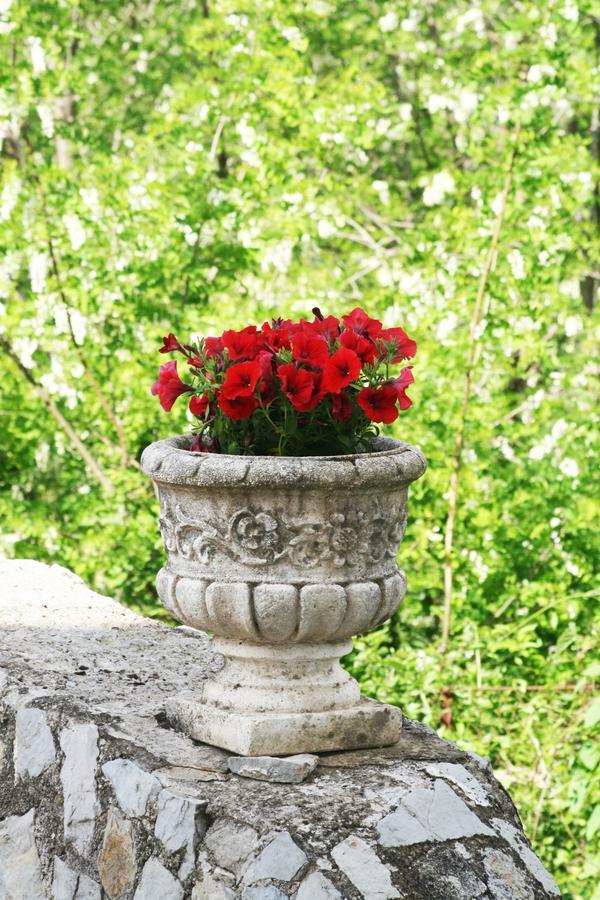Bed and Breakfast Tra I Monti Tramonti Zewnętrze zdjęcie