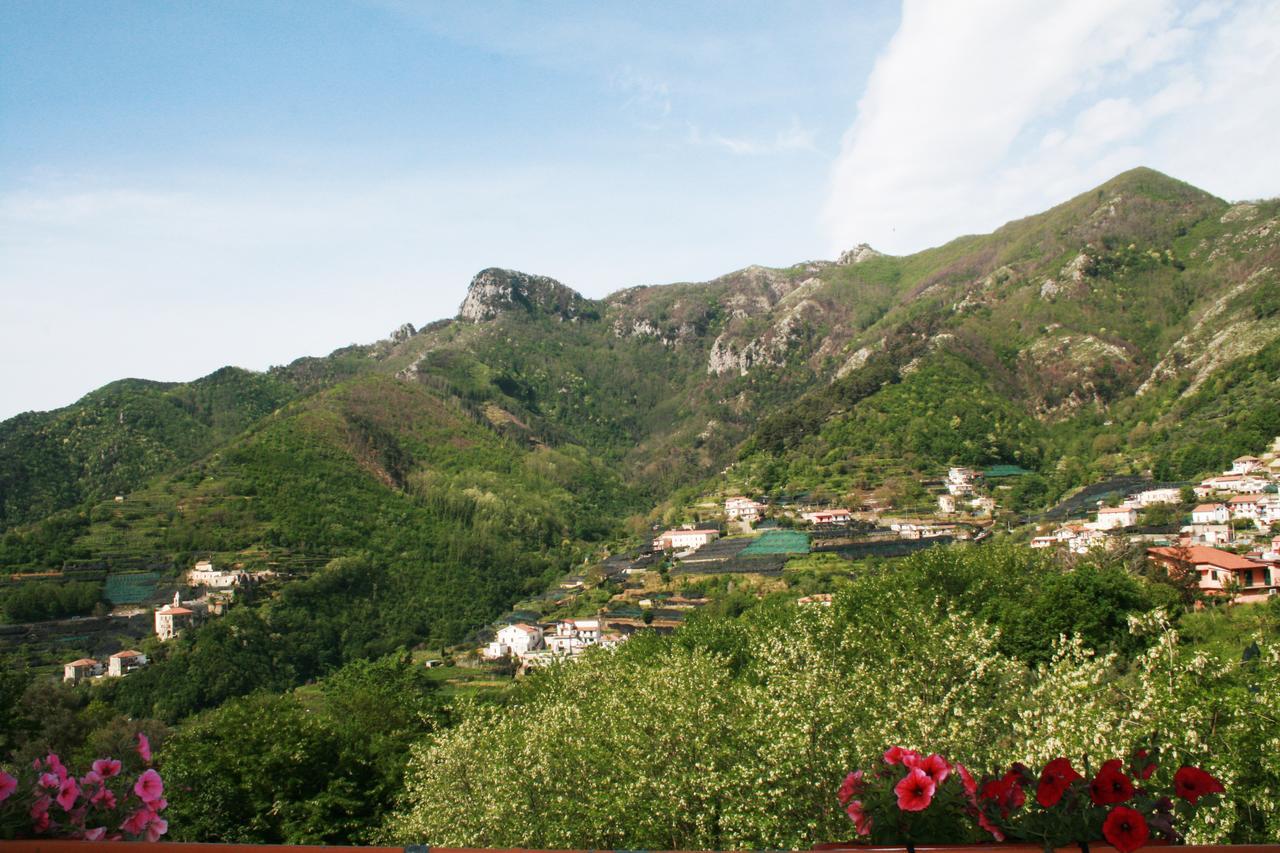 Bed and Breakfast Tra I Monti Tramonti Zewnętrze zdjęcie